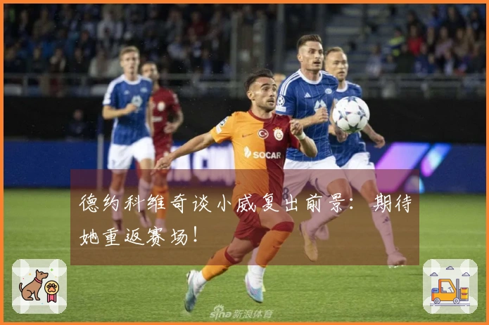 德约科维奇谈小威复出前景：期待她重返赛场！