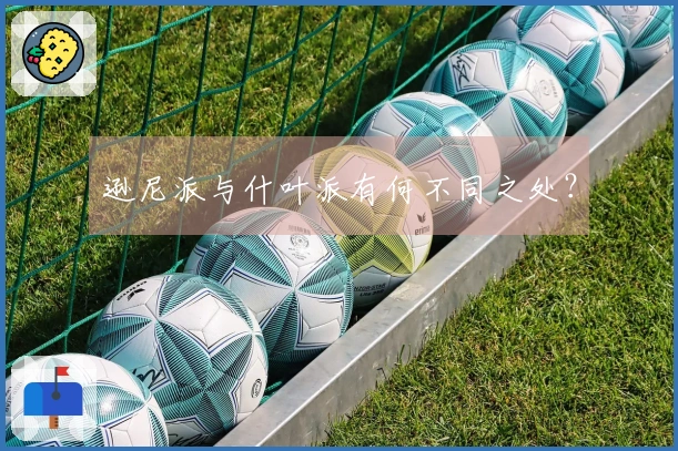 逊尼派与什叶派有何不同之处？
