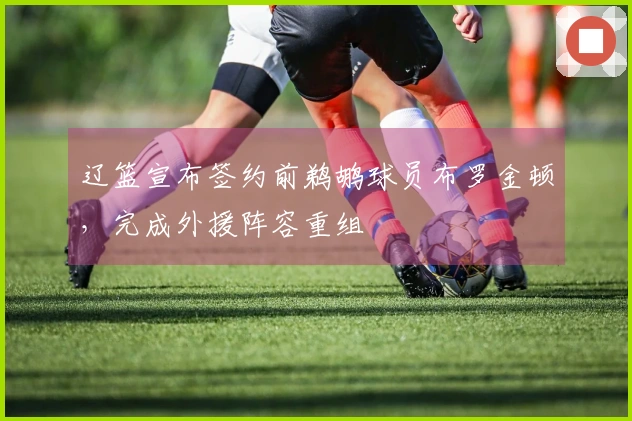 辽篮宣布签约前鹈鹕球员布罗金顿，完成外援阵容重组